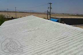 کارخانه ، شرکت ، ایسان ، نانو ، عایق ، تریپلیمر ، پلیمر ، رنگ ، حرارتی ، صوتی ، استخر ، عایق بندی ،&nbsp; نما ، تکنولوژی نانو ، کشاورزی ، سوپر جاذب